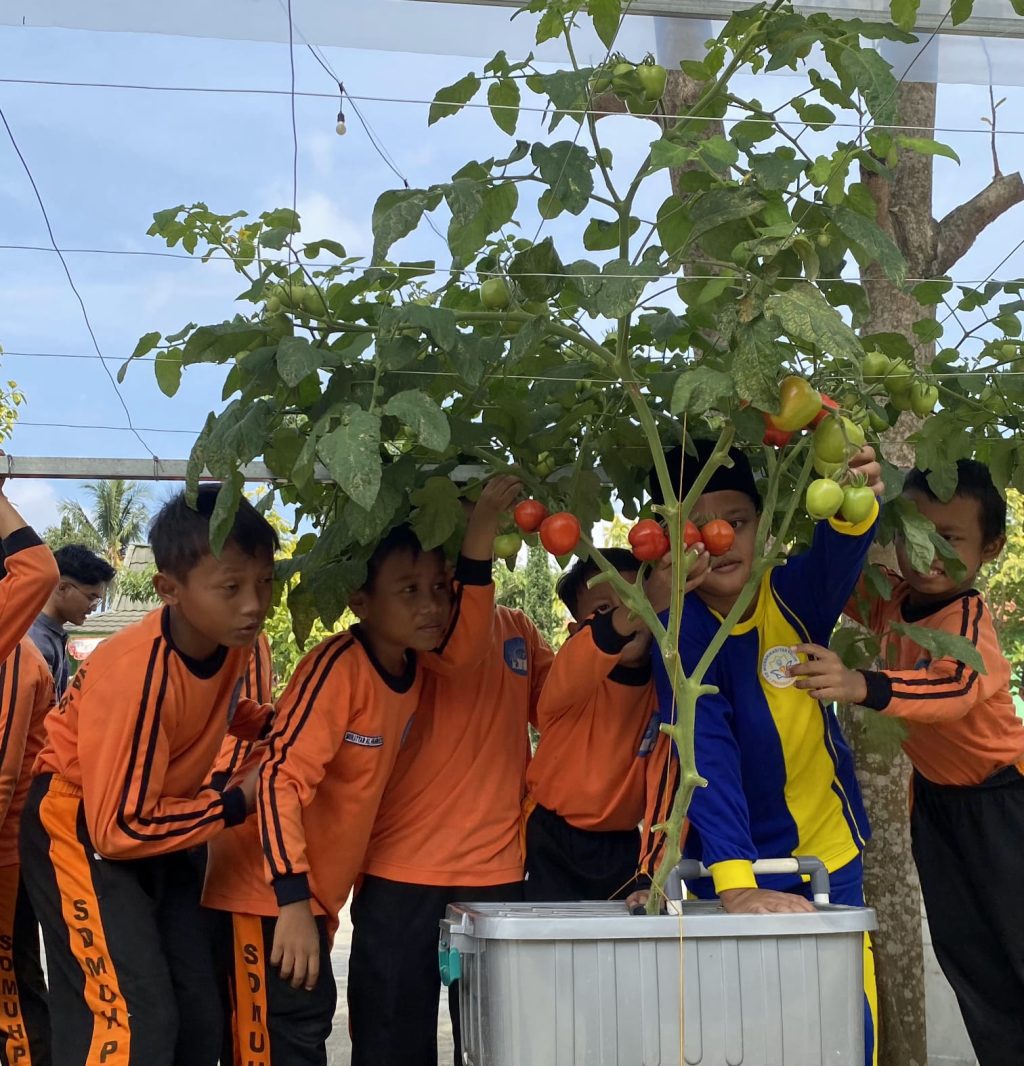 WhatsApp Image 2025-09-17 at 6.21.13 PM